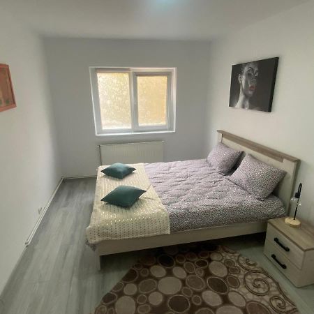 Apartment Dabic Remote And Fun Брашов Екстериор снимка