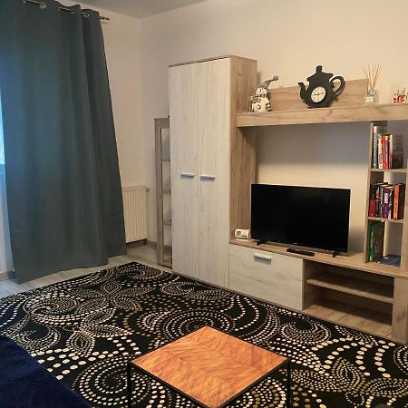 Apartment Dabic Remote And Fun Брашов Екстериор снимка