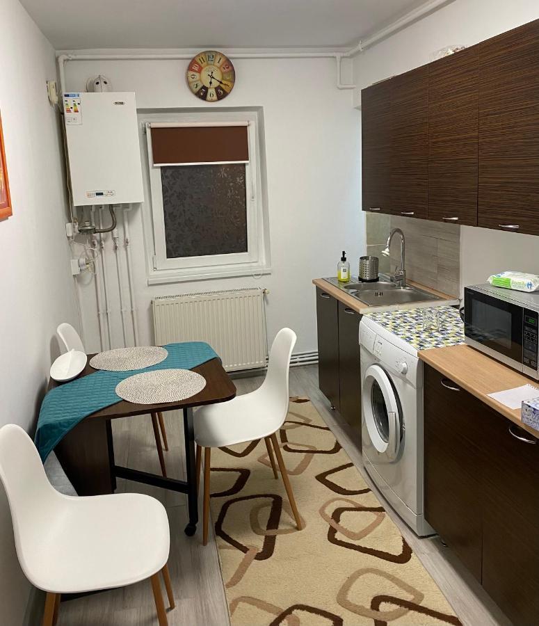 Apartment Dabic Remote And Fun Брашов Екстериор снимка