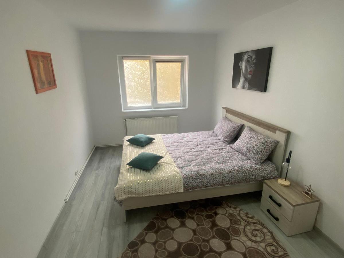 Apartment Dabic Remote And Fun Брашов Екстериор снимка